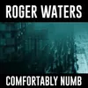 About Comfortably Numb 2022 Song