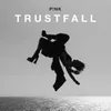 About TRUSTFALL Song