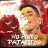 About No Pinto Pajaritos Song