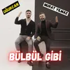 About Bülbül Gibi Song