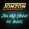 About Jag ska fånga en ängel Song