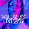 About Warum bist du weg Song