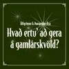 About Hvað ertu' að gera á gamlárskvöld? Song