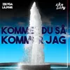 About Kommer Du Så Kommer Jag Song