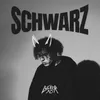 About Schwarz Song