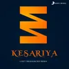 About Kesariya Lost Frequencies Remix Song