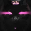 About Gata Song