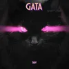 Gata