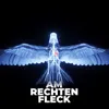 About Am Rechten Fleck Song