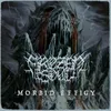 About Morbid Effigy (feat. John Gallagher of Dying Fetus) Song