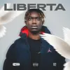 About LIBERTA Song