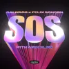 About SOS Song
