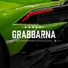 Grabbarna