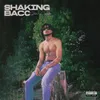 About Shaking Bacc Song