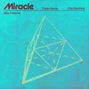 Miracle (Mau P Remix)