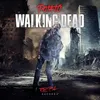 About Walking Dead Song