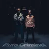 About Puto Criminel Song