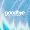 About Goodbye Song