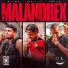About Malandrex Song