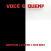 About Você é Quem? Song