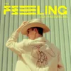 About The Feeling Song