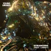 About Strangers (feat. Linney) Song