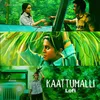 About Kaattumalli (Lofi Flip) Song
