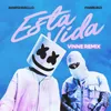 About Esta Vida (VINNE Remix) Song