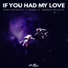 About If You Had My Love (Extended Mix) Song