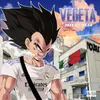 About Vegeta Song