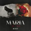 About Maria Song