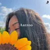 About Aarzoo Song