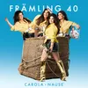 About Främling 40 Song