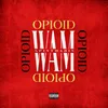 About Opioid Song