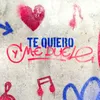 About Te Quiero y Me Duele Song