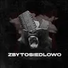 About ZbytOsiedlowo Song