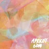 About Apricot Sun Song