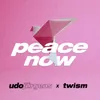 Peace Now (Twism Remix - Radio Version)