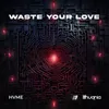 About Waste Your Love Song