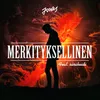 About Merkityksellinen Song