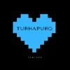 About Turhapuro Song