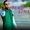 Tere Bina