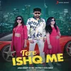 About Tere Ishq Me Song