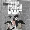 About Avaimet Song