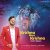 About Krishna Mera Krishna Song