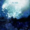 About Numb Song