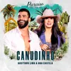 About Canudinho (Ao Vivo) Song