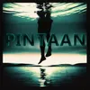 Pintaan