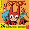 SamSam s'ennuie (Histoire)