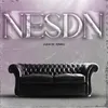 About NESDN Song